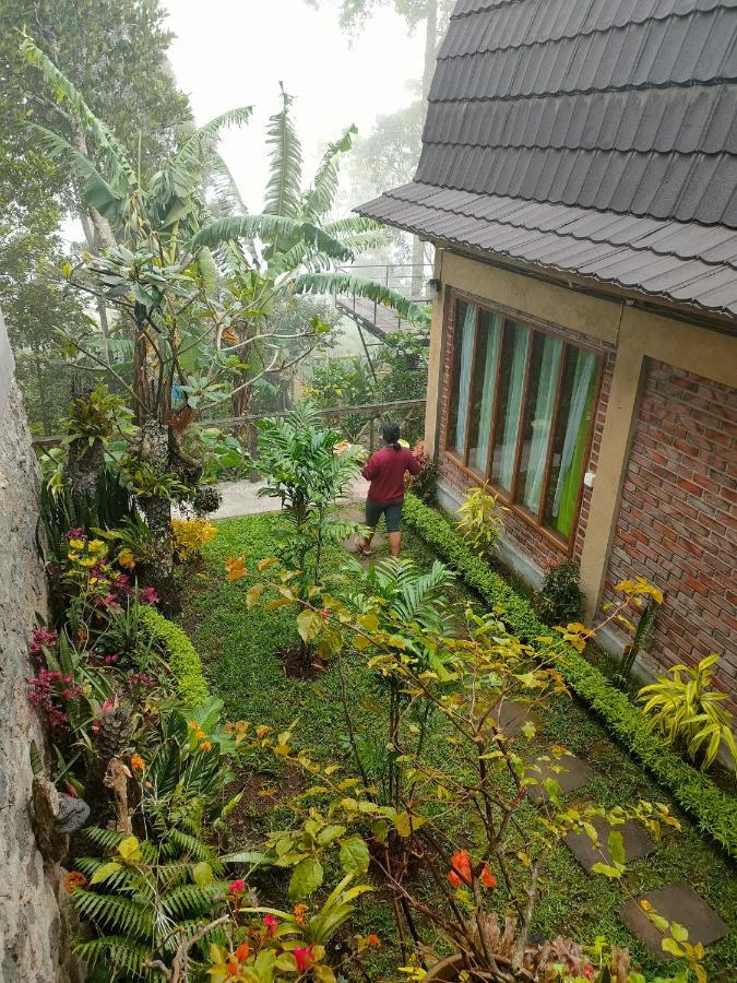Retreat - Pekak Lelut Munduk